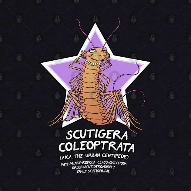 Scutigera Coleoptrata by Cyborg One